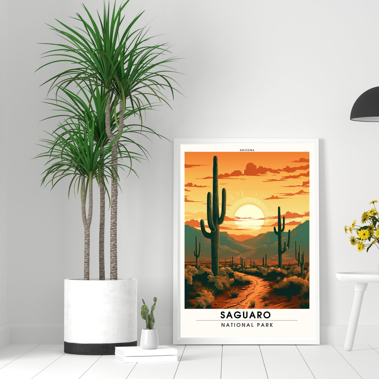 Saguaro National Park Impression