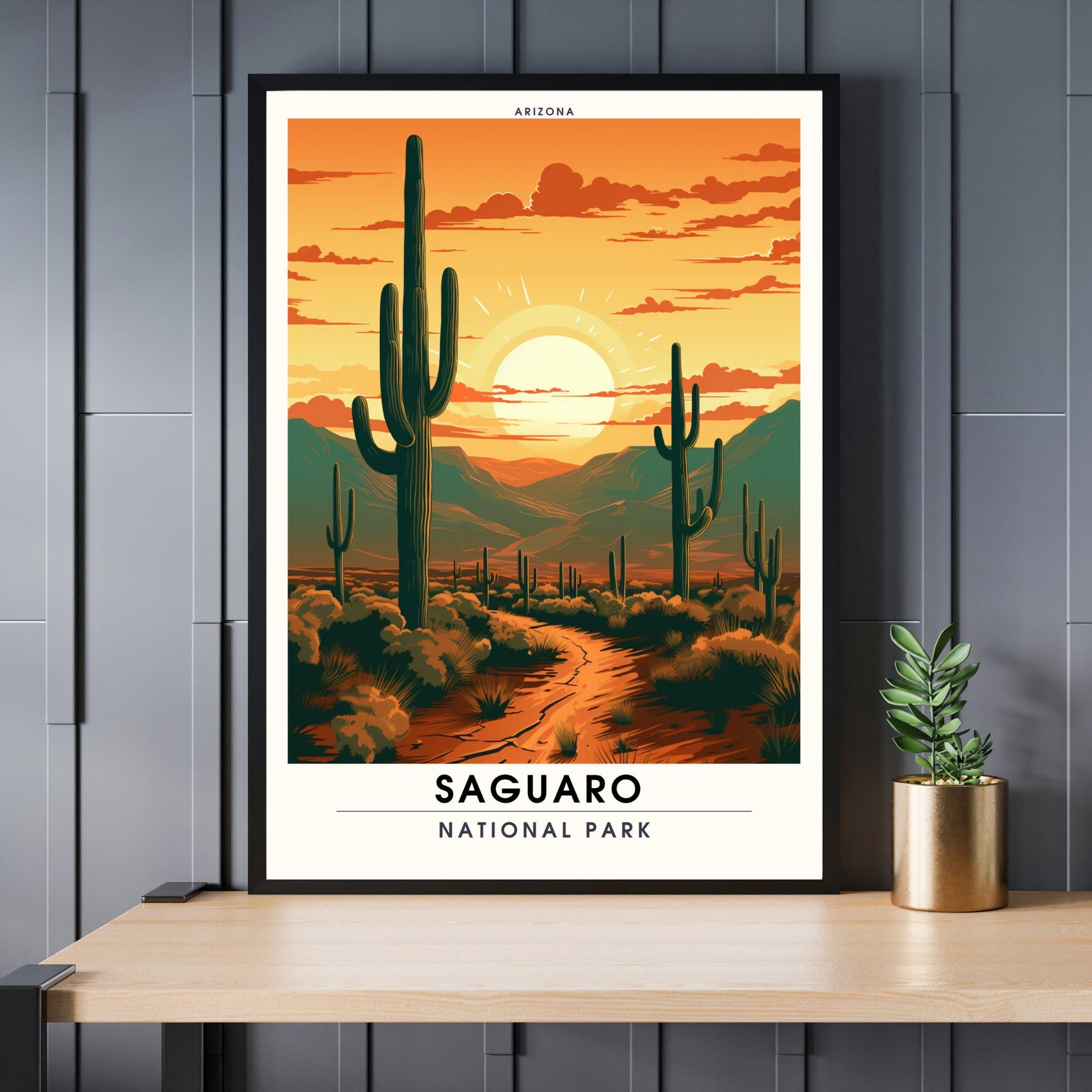 Saguaro National Park Impression