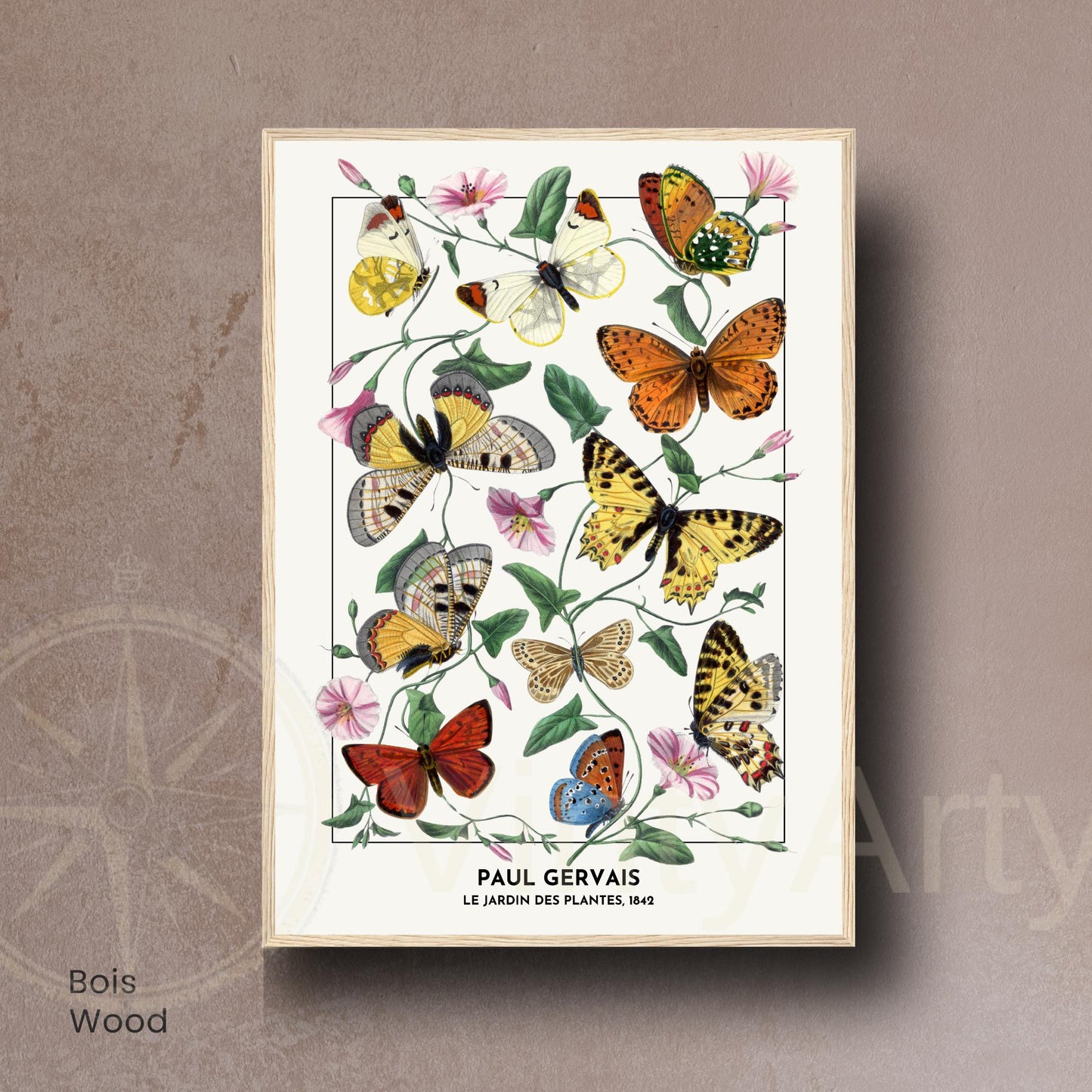 Affiche Vintage Papillons – Paul Gervais 1842 – Illustration Naturaliste Botanique – Décoration Murale Historique