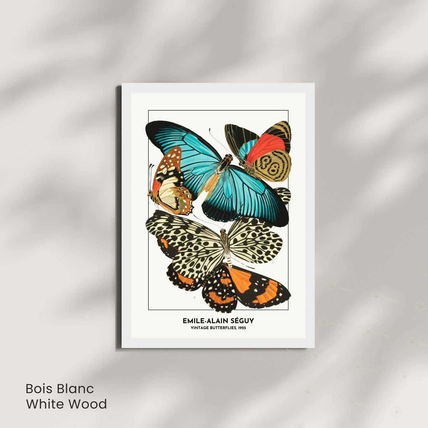 Affiche papillons vintage – Illustration Émile-Alain Séguy 1925 – Poster naturaliste