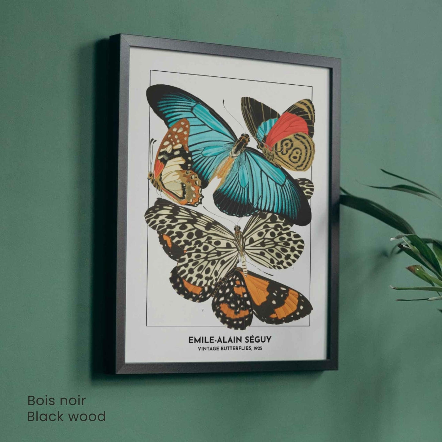Affiche papillons vintage – Illustration Émile-Alain Séguy 1925 – Poster naturaliste