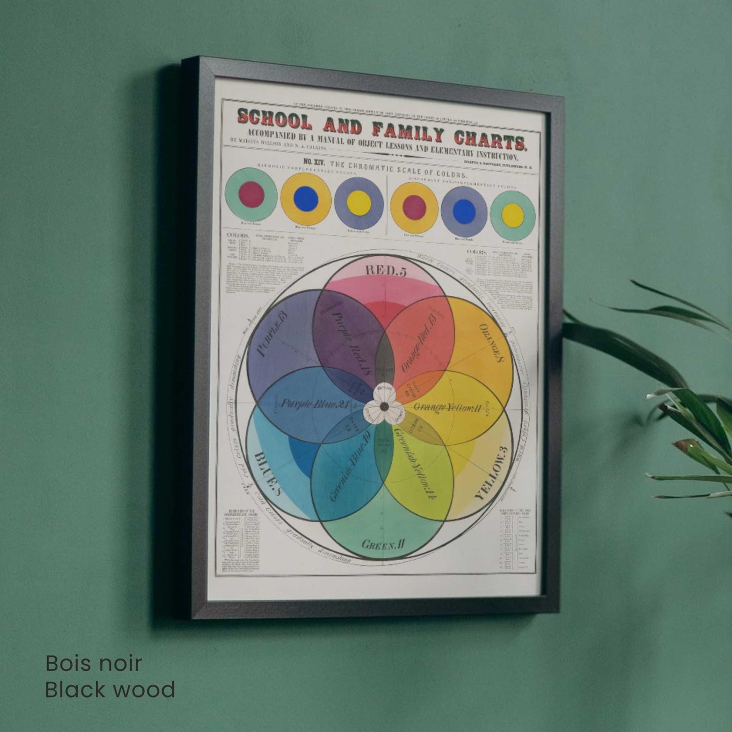 Affiche vintage cercle chromatique | Poster théorie des couleurs | Éducation XIXe siècle