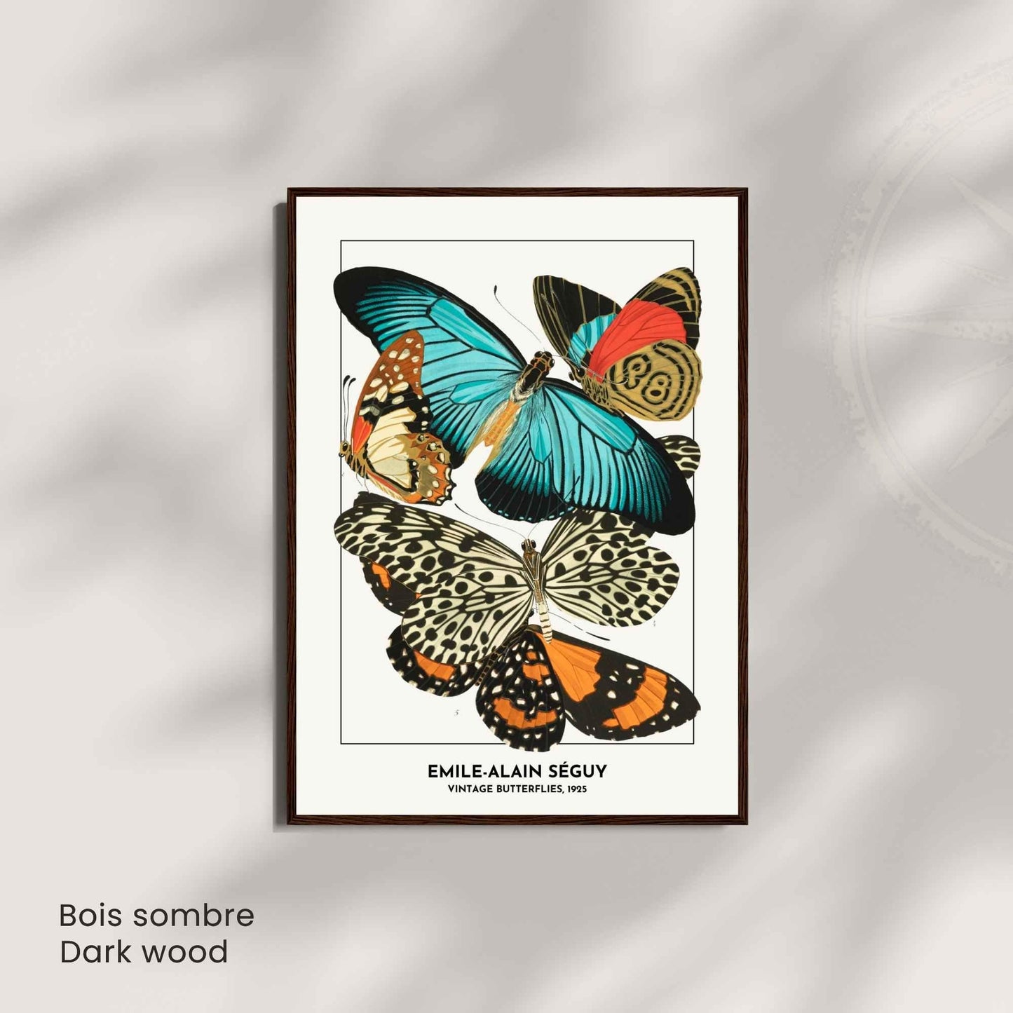 Affiche papillons vintage – Illustration Émile-Alain Séguy 1925 – Poster naturaliste