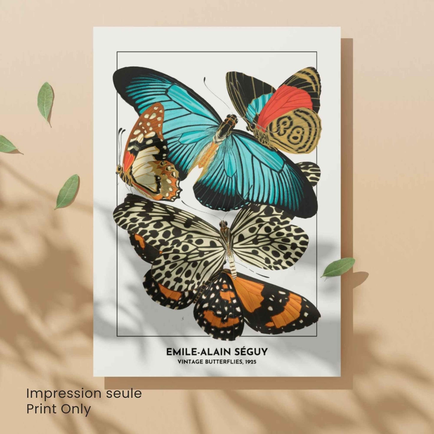Affiche papillons vintage – Illustration Émile-Alain Séguy 1925 – Poster naturaliste