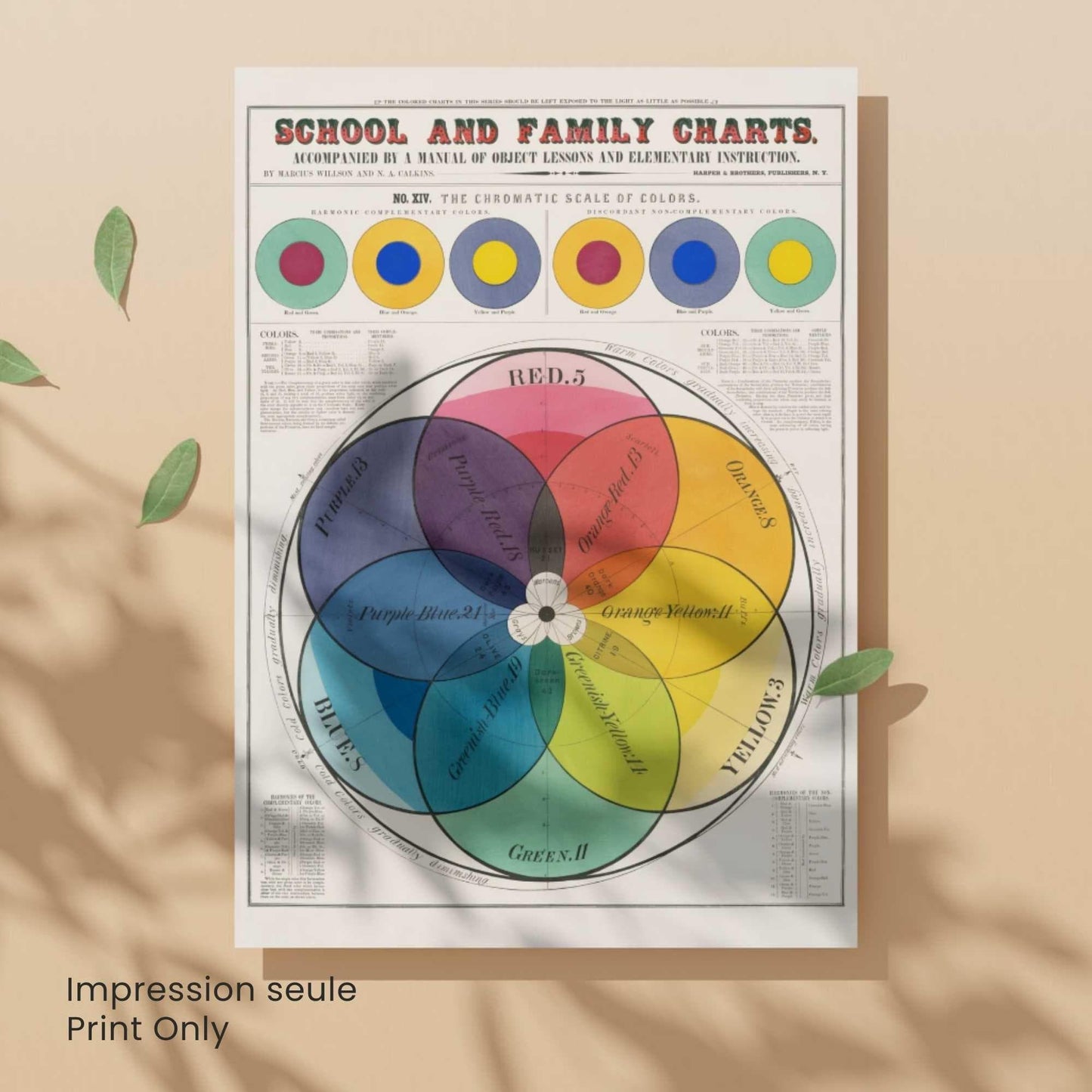 Affiche vintage cercle chromatique | Poster théorie des couleurs | Éducation XIXe siècle