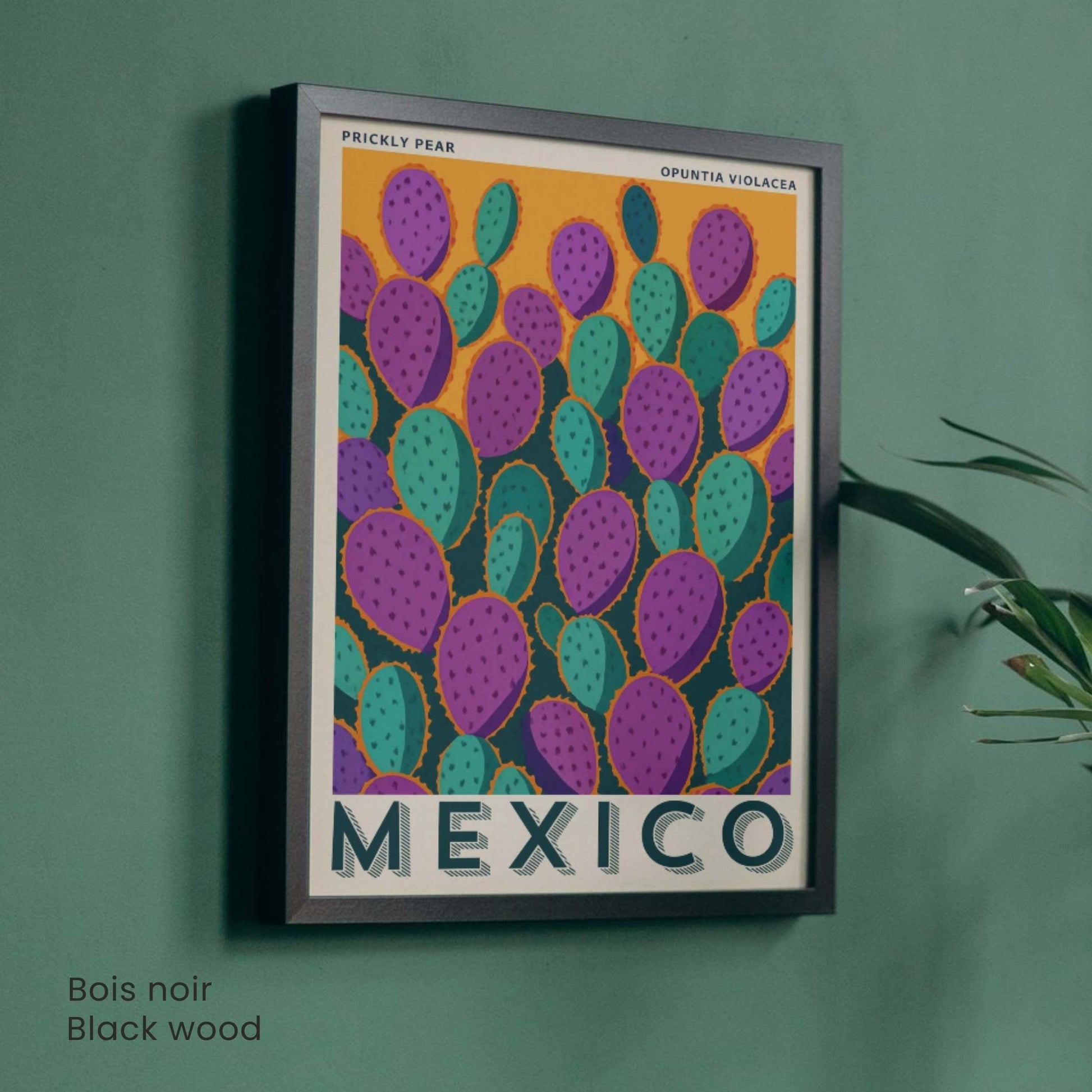 Affiche Mexique Vintage Cactus | Poster Opuntia Violacea | Décoration Murale Botanique