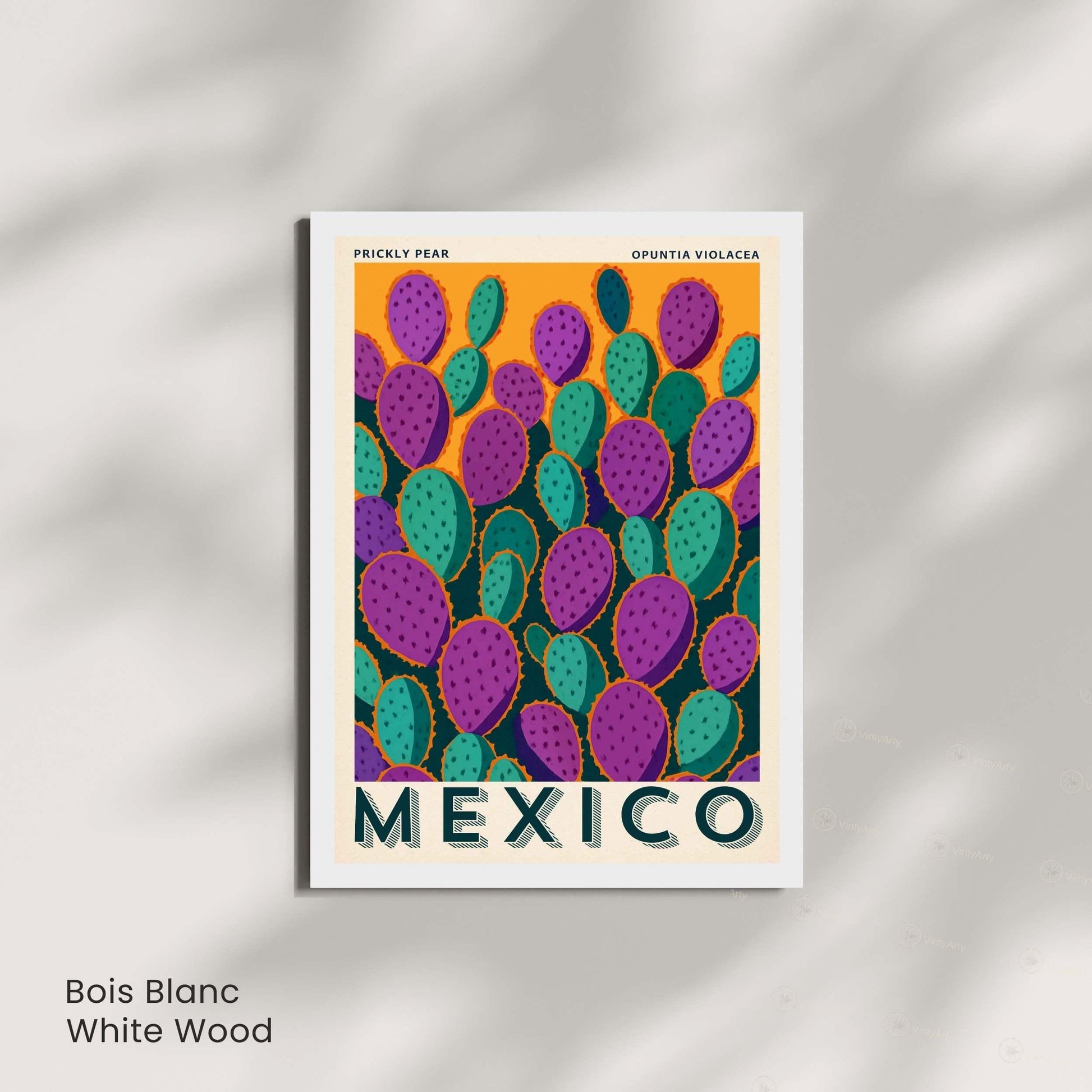 Affiche Mexique Vintage Cactus | Poster Opuntia Violacea | Décoration Murale Botanique