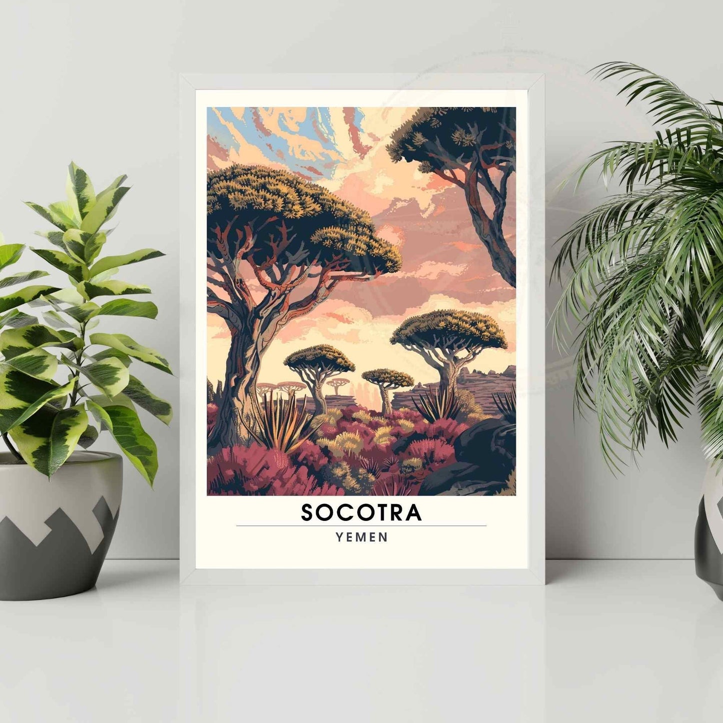 Impression Socotra - Affiche Socotra - Dragonnier de Socotra