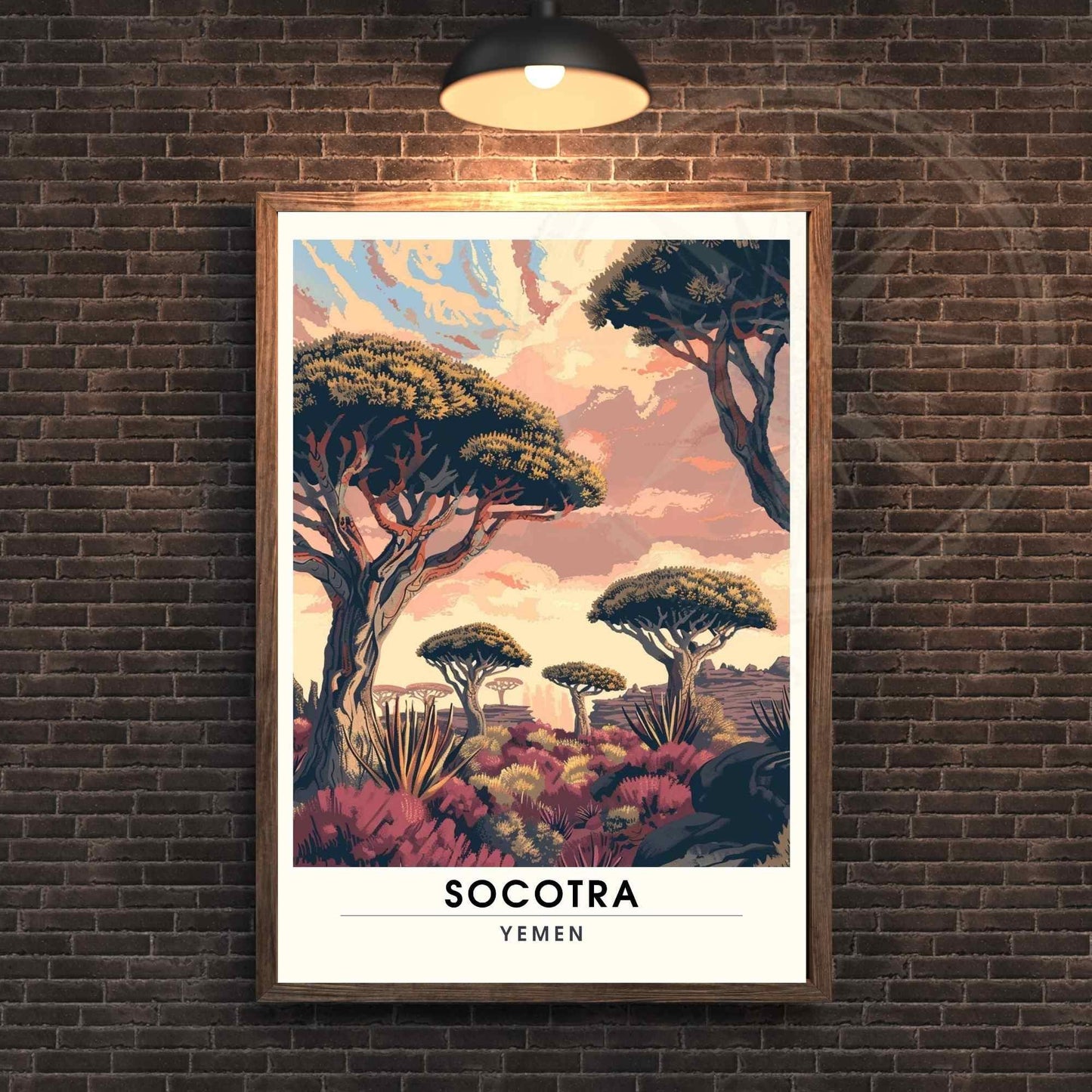 Impression Socotra - Affiche Socotra - Dragonnier de Socotra