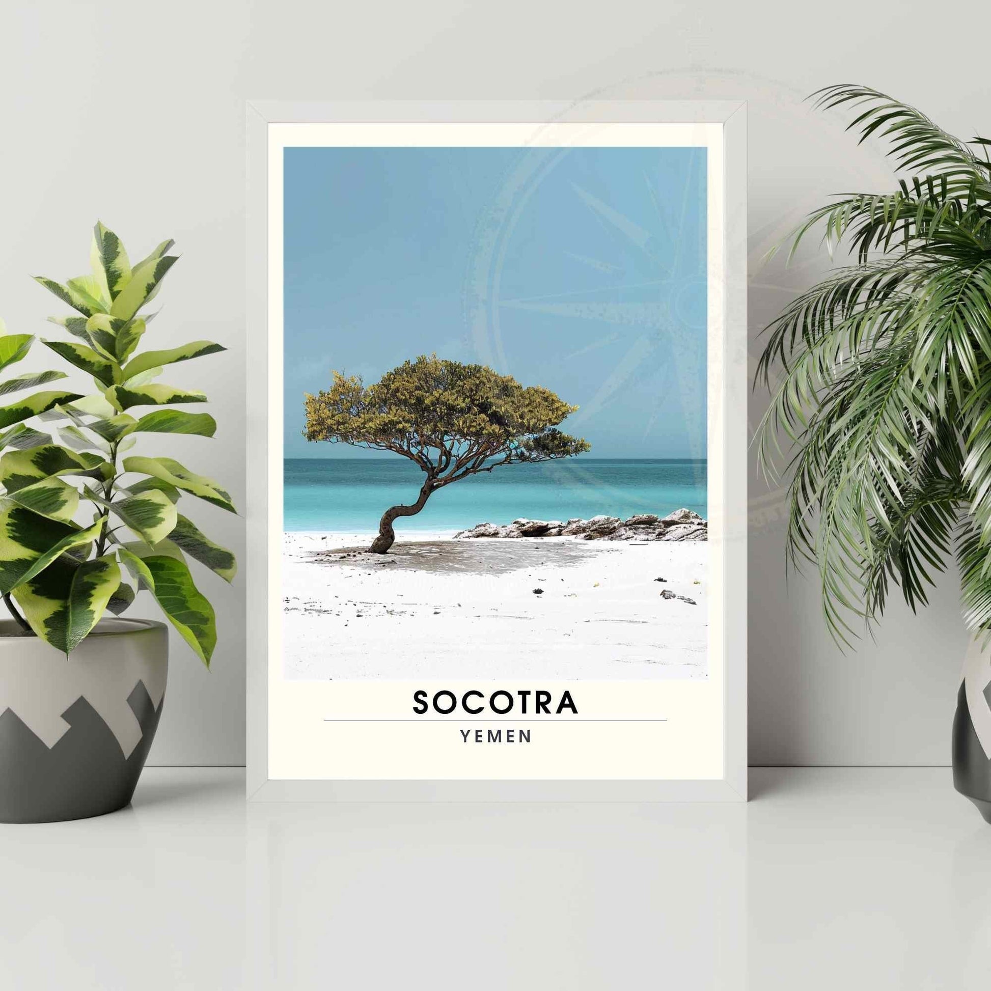 Impression Socotra - Affiche Socotra - Plage et Dragonnier de Socotra, Yémen