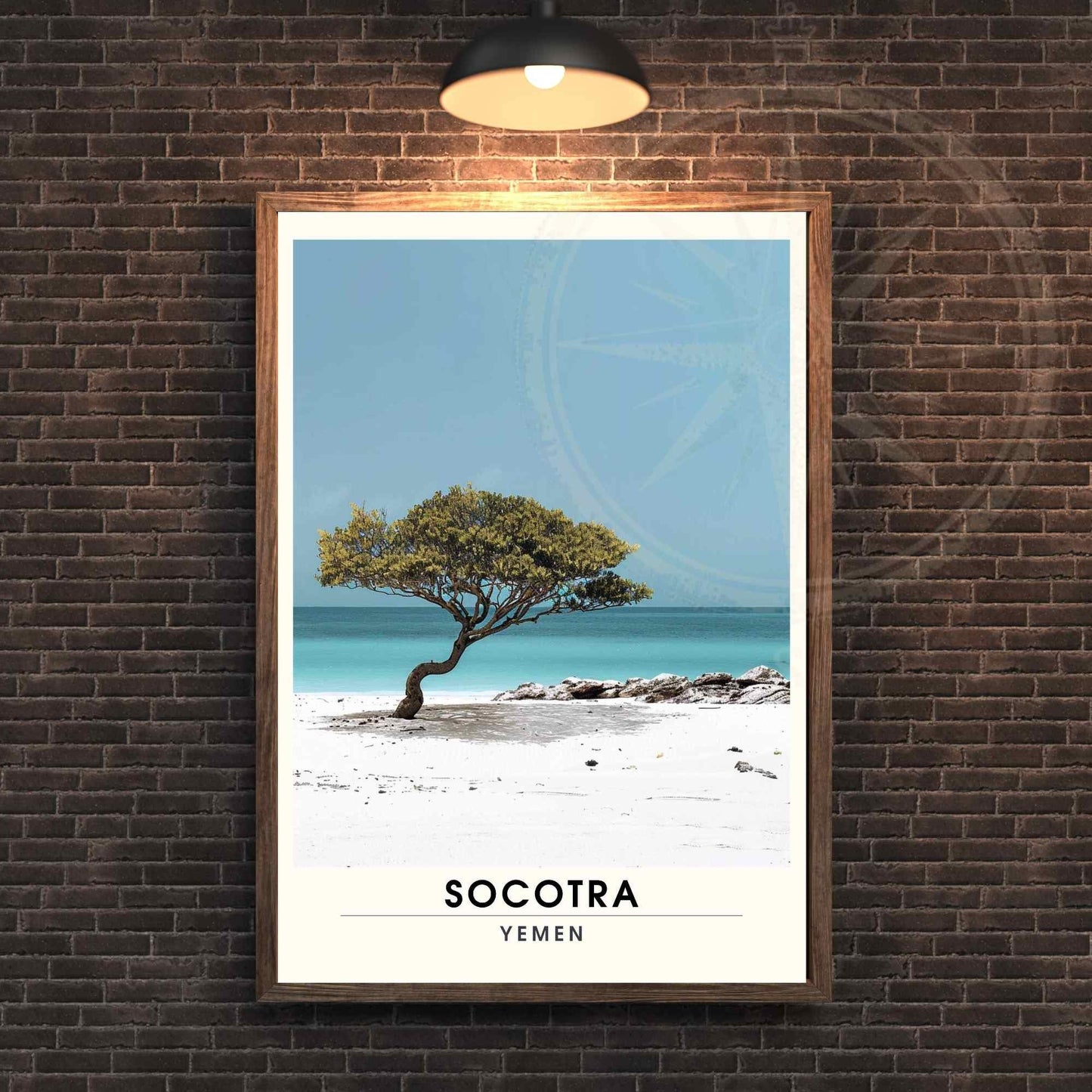 Impression Socotra - Affiche Socotra - Plage et Dragonnier de Socotra, Yémen