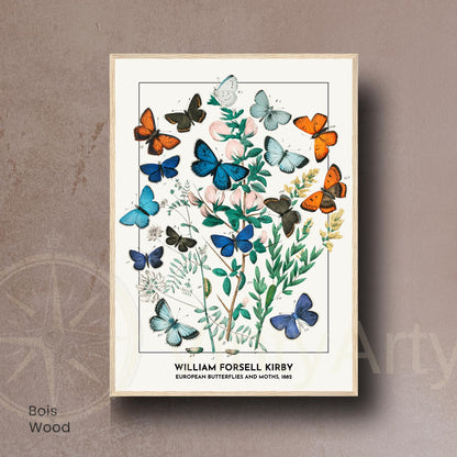 Affiche Vintage Papillons Européens – William Forsell Kirby 1882 – Illustration Naturaliste Botanique – Décoration Murale