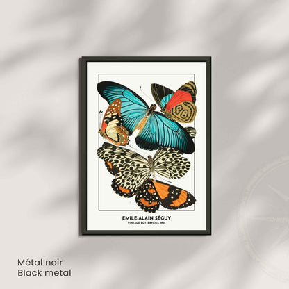 Affiche papillons vintage – Illustration Émile-Alain Séguy 1925 – Poster naturaliste