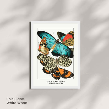 Affiche papillons vintage – Illustration Émile-Alain Séguy 1925 – Poster naturaliste