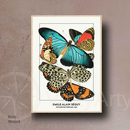 Affiche papillons vintage – Illustration Émile-Alain Séguy 1925 – Poster naturaliste
