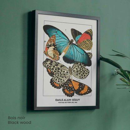 Affiche papillons vintage – Illustration Émile-Alain Séguy 1925 – Poster naturaliste