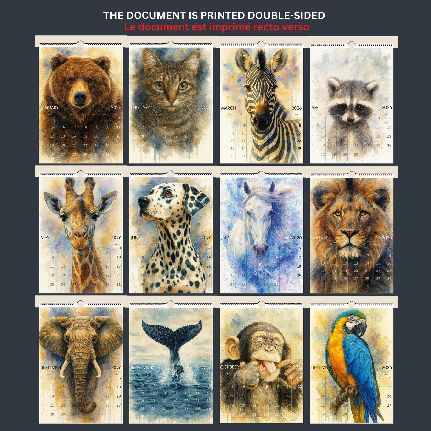 Calendrier mural 2026 Animaux du Monde | Calendrier 2026 | Calendrier animaux