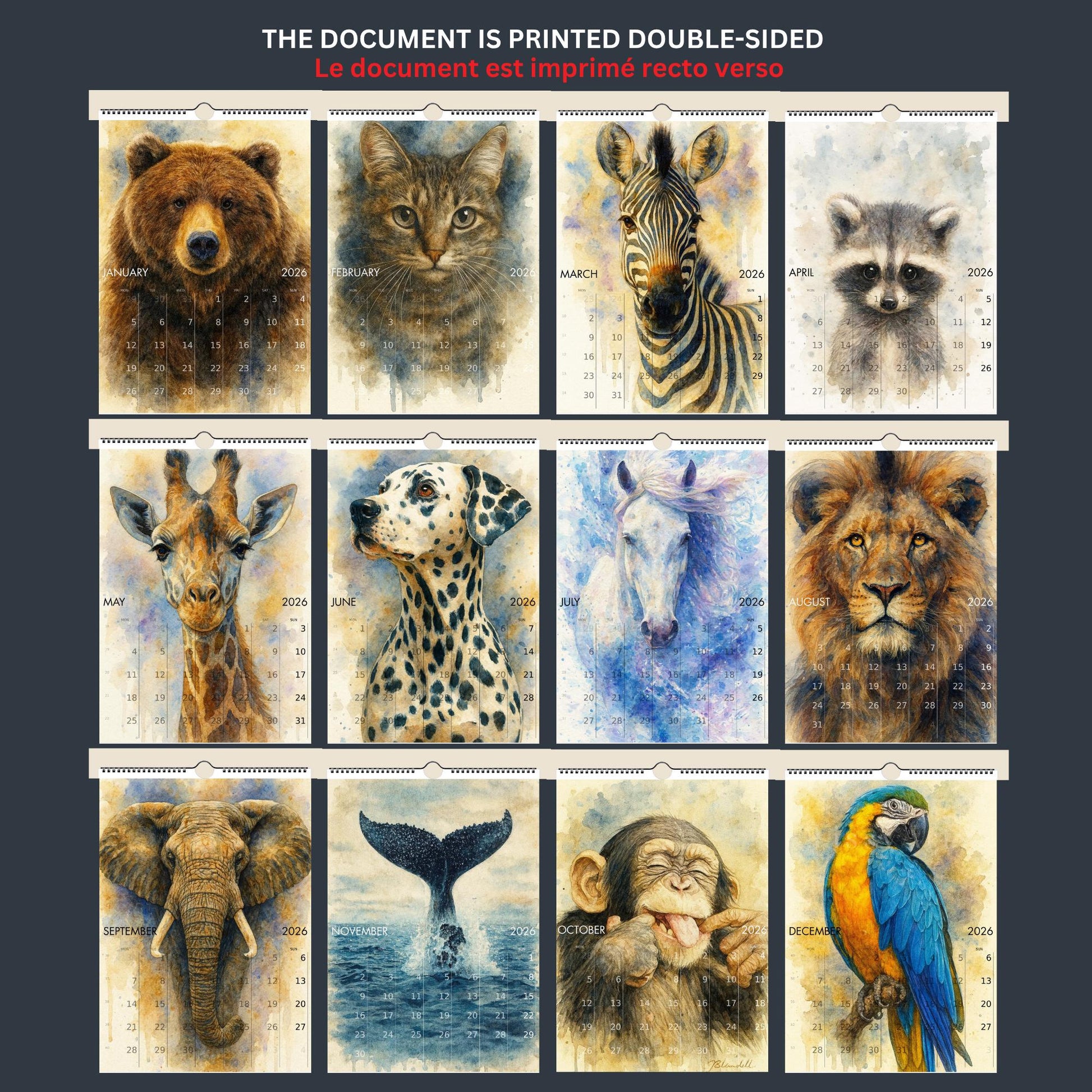 Calendrier mural 2026 Animaux du Monde | Calendrier 2026 | Calendrier animaux