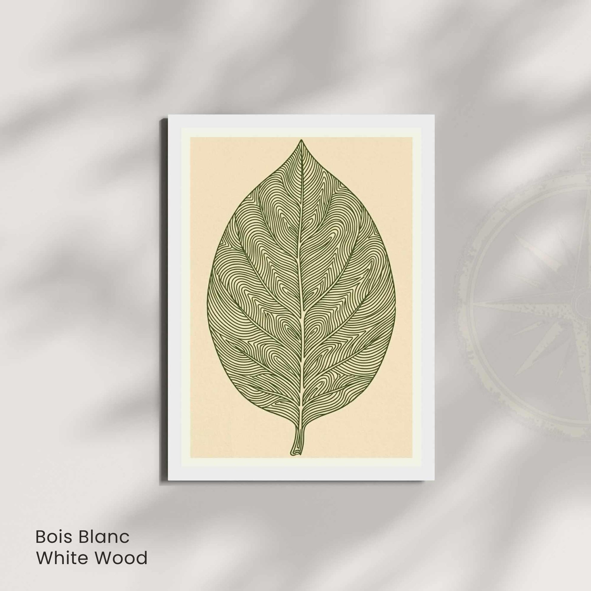 Affiche feuille vert olive — illustration botanique minimaliste