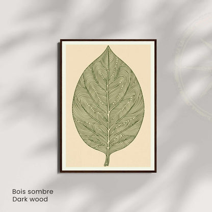 Affiche feuille vert olive — illustration botanique minimaliste