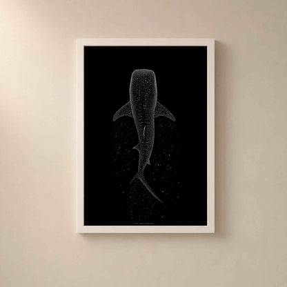 Affiche requin baleine dans un cadre en bois blanc sur un mur beige, silhouette de l'animal en pointillisme blanc vue de dessus sur fond noir.