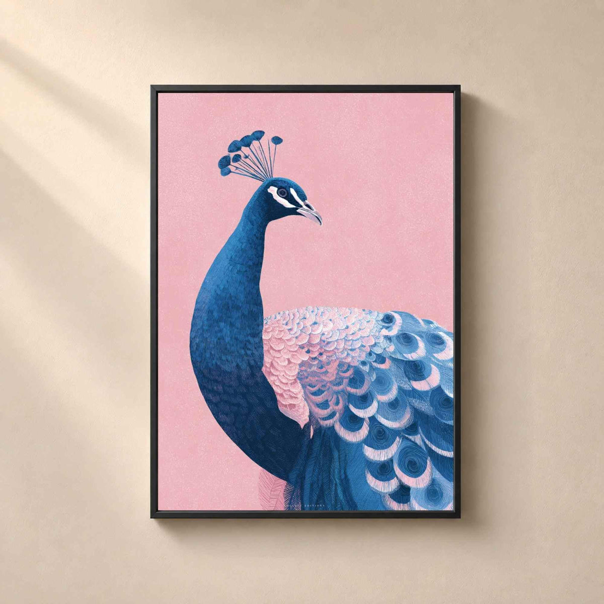 Affiche paon bleu fond rose, art mural oiseau élégant, illustration déco eclectic chic