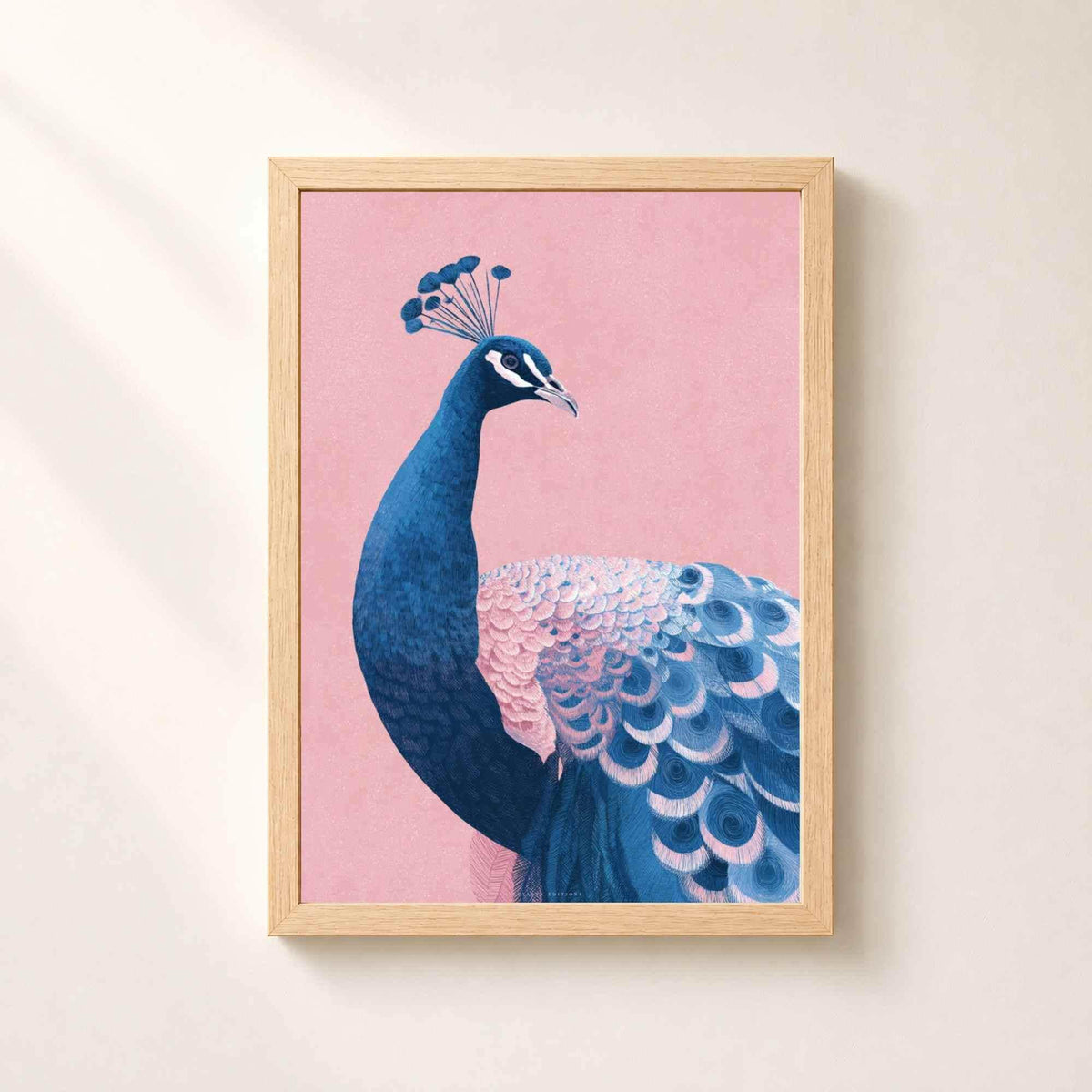 ffiche paon dans un cadre en chêne naturel sur un mur clair, paon bleu de profil sur fond rose poudré avec sa traîne déployée.