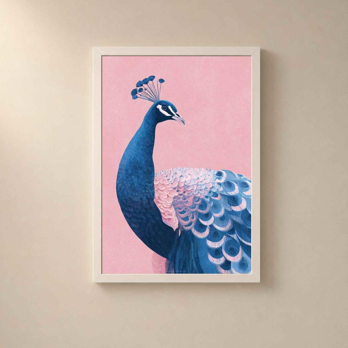 Affiche paon bleu fond rose, art mural oiseau élégant, illustration déco eclectic chic
