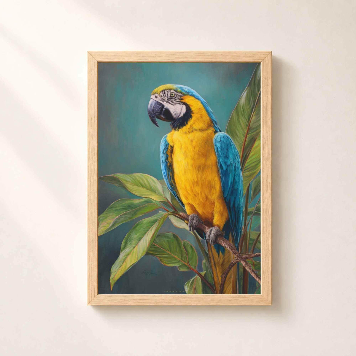 Affiche perroquet ara bleu et jaune, art mural tropical, peinture oiseau exotique jungle