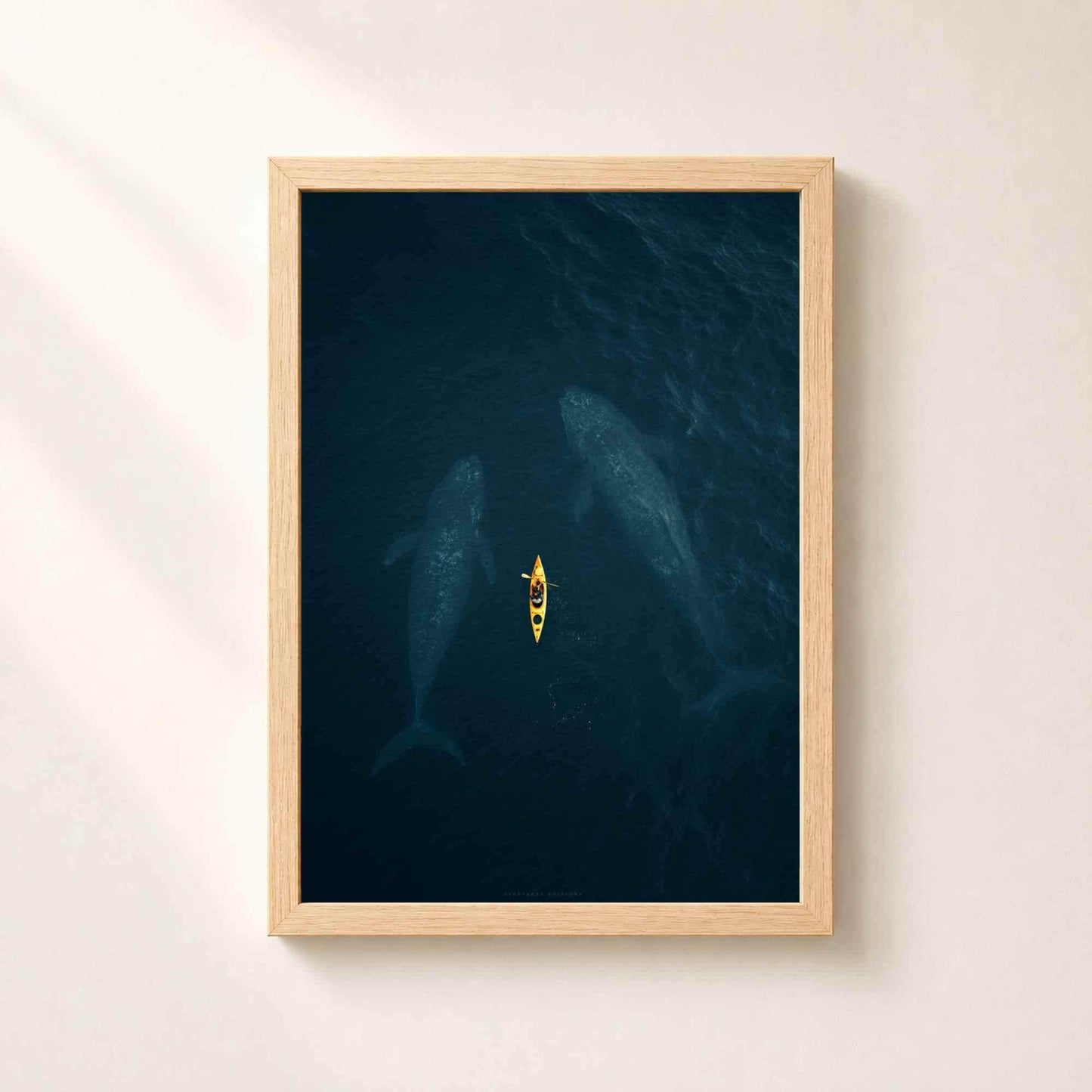 Affiche baleines et kayak, art mural photo aérienne océan, décoration bleu profond