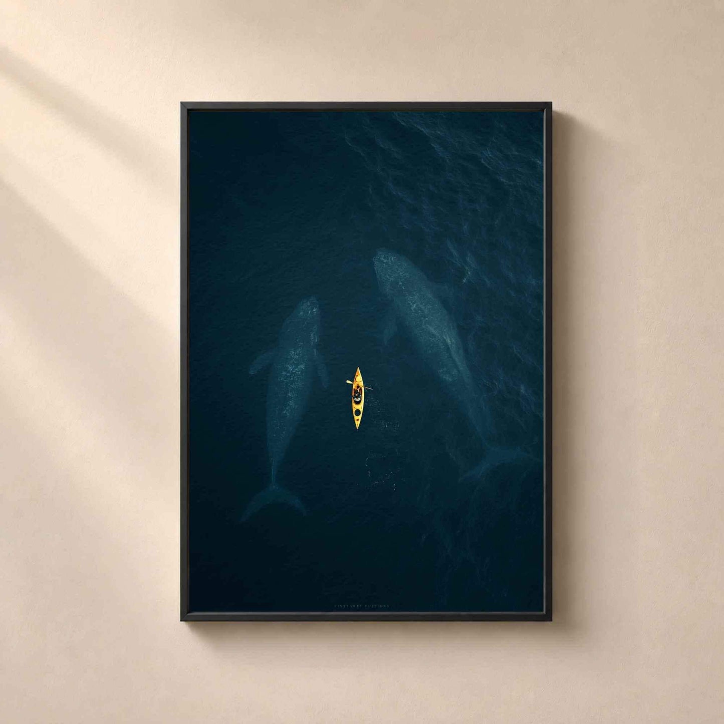 Affiche baleines et kayak, art mural photo aérienne océan, décoration bleu profond