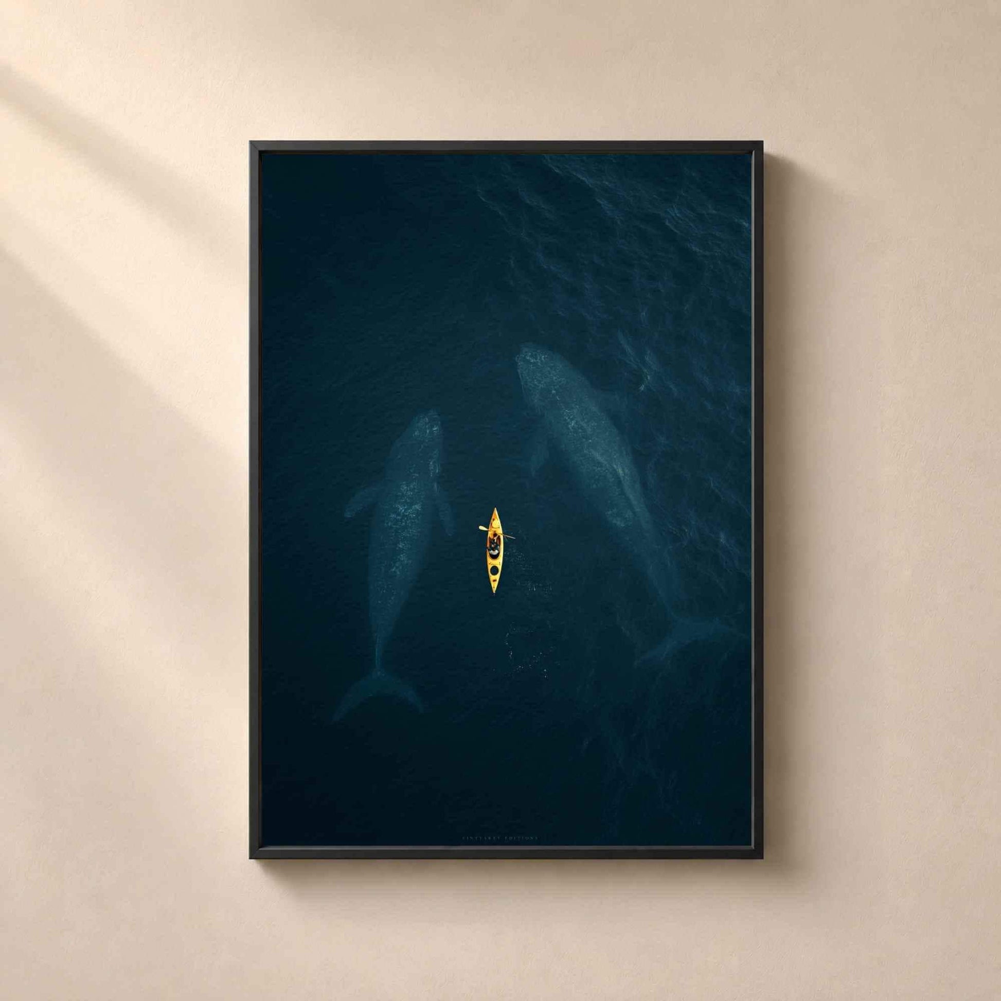 Affiche baleines et kayak, art mural photo aérienne océan, décoration bleu profond